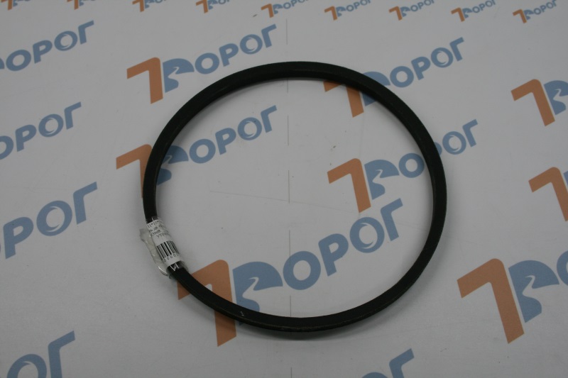 Ремень 11*10*750 привода ГУР Газель дв. 4216 Е-3 Газель Бизнес ZOMMER 