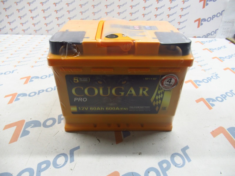 Аккумулятор COUGAR PRO 60Ач 600А (п/п) 242*175*190 мм 
