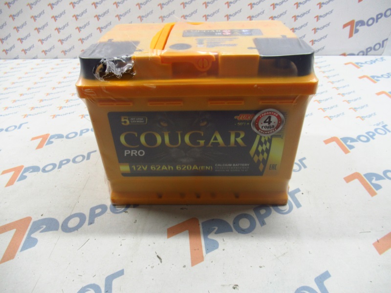 Аккумулятор COUGAR PRO 62Ач 620А (о/п) 242*175*190 мм 