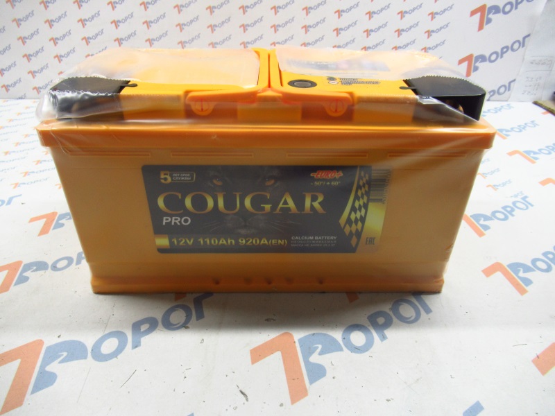Аккумулятор COUGAR PRO 110Ач 920А (о/п) 353*175*190 мм 