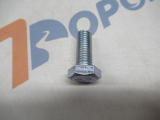 Болт М10*25