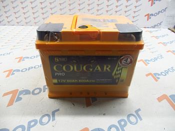 Аккумулятор COUGAR PRO 60Ач 600А (п/п) 242*175*190 мм